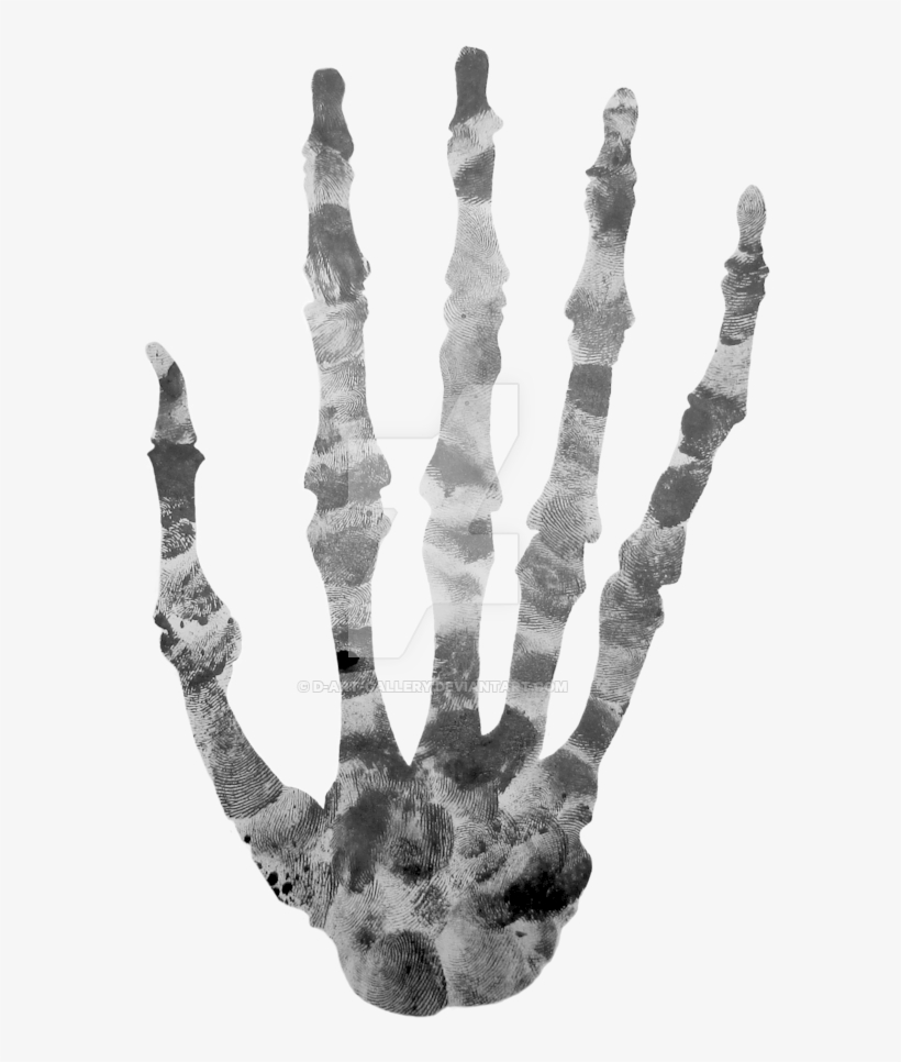 Finger Printed Skeleton By - Hand Bone Transparent, transparent png download