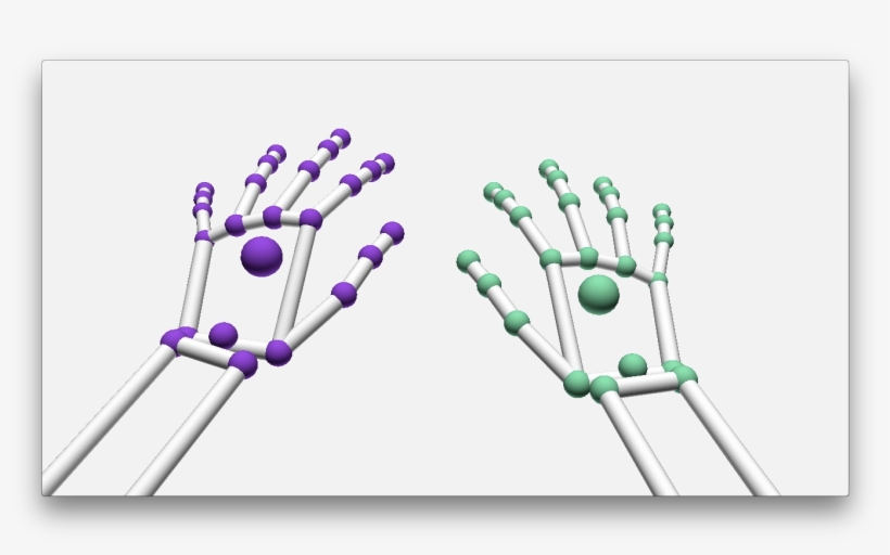 Ability To Get All Hand And Finger Points From Leap - Common Fig, transparent png download