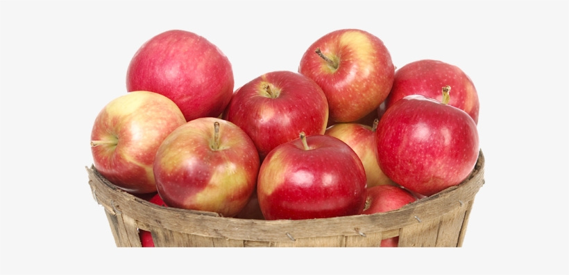 Apples Transparent, transparent png download