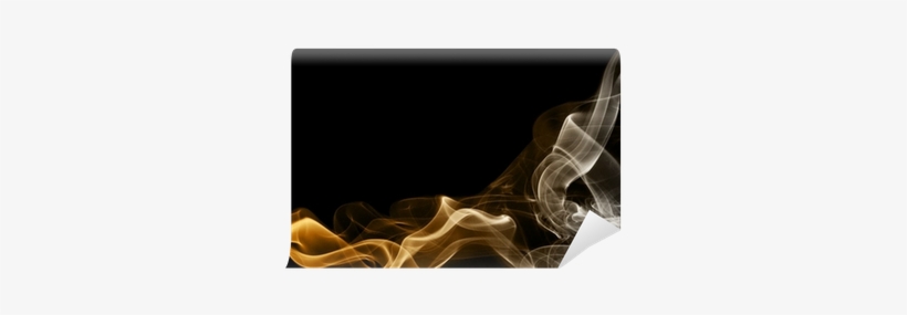 Photography, transparent png download