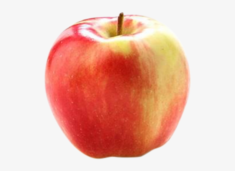 Ambrosia Apple - แอ ป เปิ้ ล แดง, transparent png download