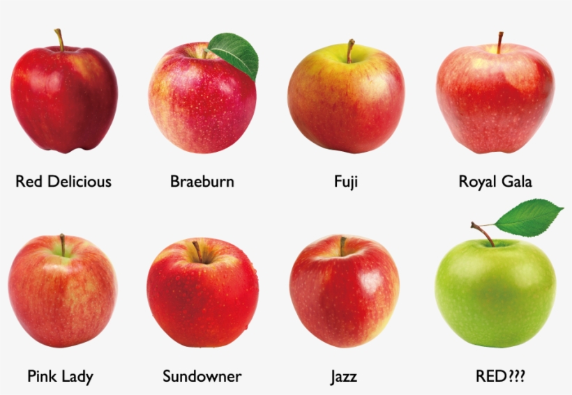 Different Varieties Of Apples - Arôme Pomme 50 G Decora, transparent png download