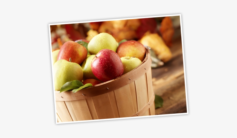 Growing Apples - Apple, transparent png download