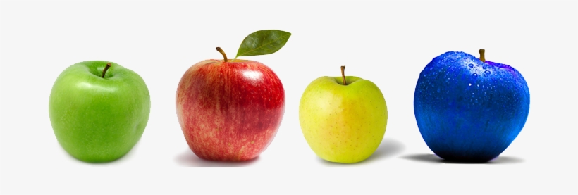 Compare Insurance Applese To Apples - Manzana Royal Gala (20 Kg), transparent png download