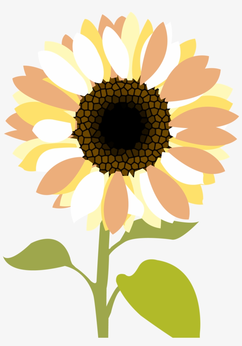 Transparent Sunflowers Clipart Png Imageu200b - Clipart Sunflower In Png, transparent png download
