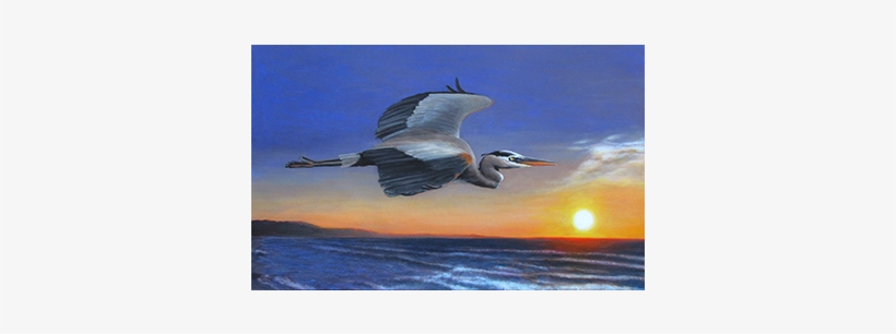Charles Wallis - Great Blue Heron, transparent png download