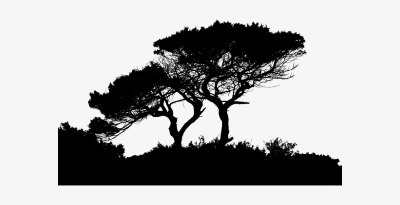 Silhouette Landscape Sunset Nature - Landscape Silhouette, transparent png download