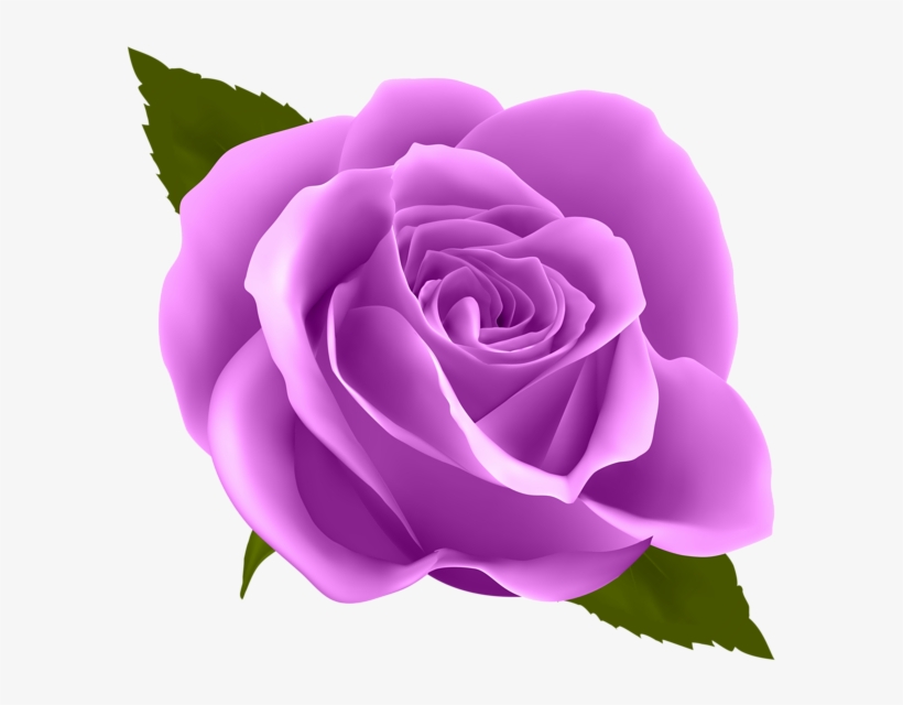 Clip Art Blue Rose, transparent png download