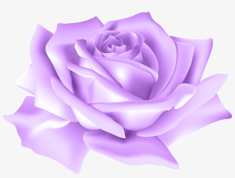 Purple Rose Flower Png Clip Art Image Gallery Yopriceville, transparent png download