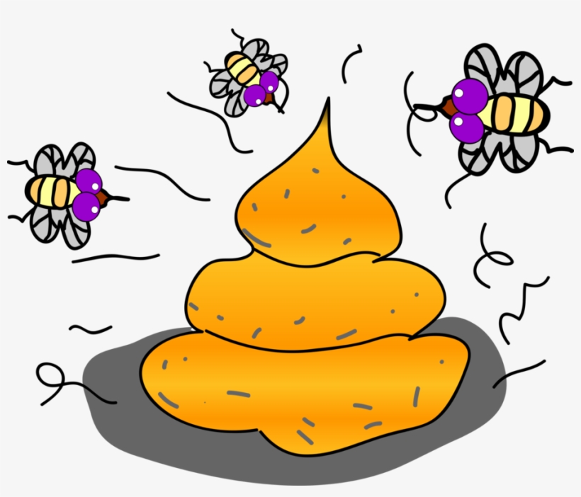 Flys Shit Feces Clipart Png, transparent png download