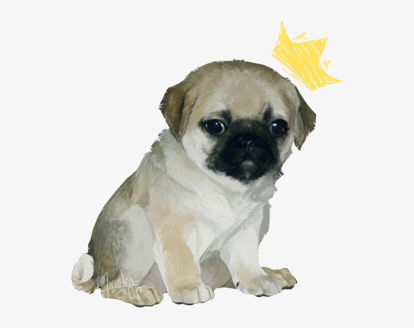 Pug Prince - Dog, transparent png download