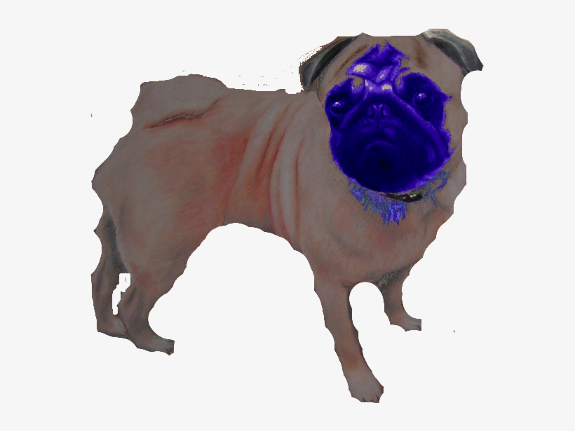 Blue Head Mega Pug - Pug, transparent png download