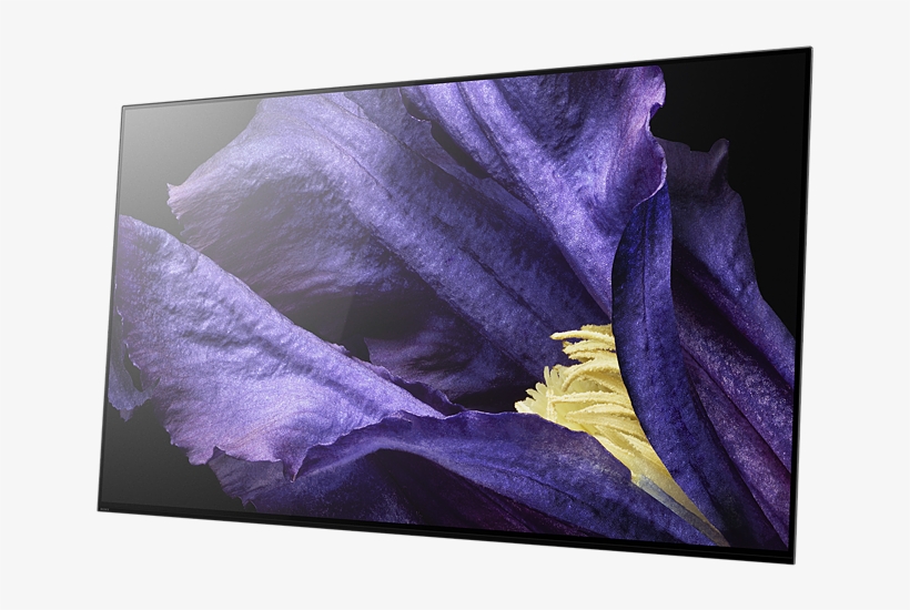 ‹ › - Sony Kd 55af9, transparent png download