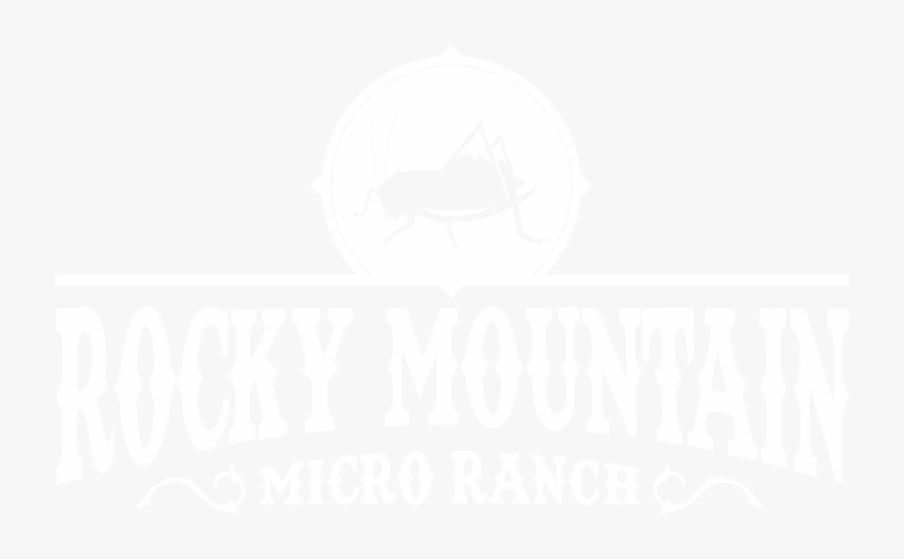 Logo-white, transparent png download