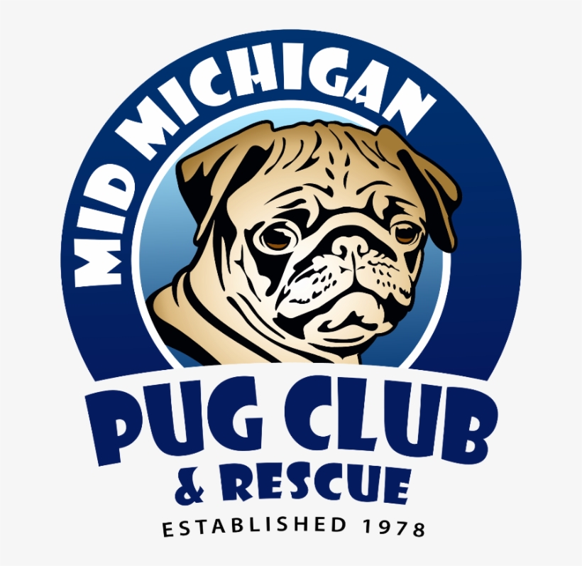 Pug Club, transparent png download