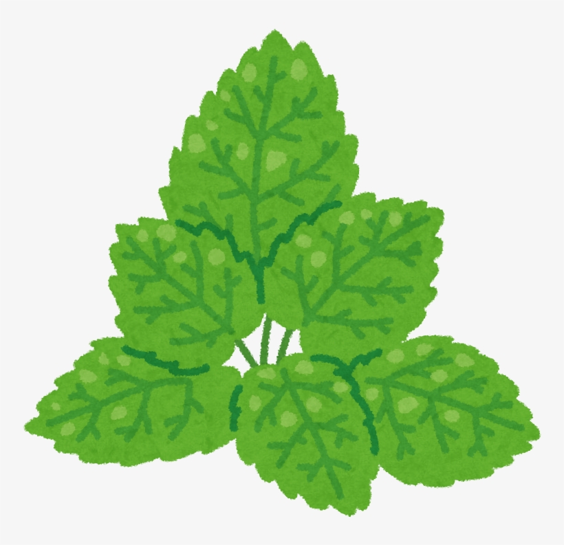 Mint Png Download - ミント 絵, transparent png download