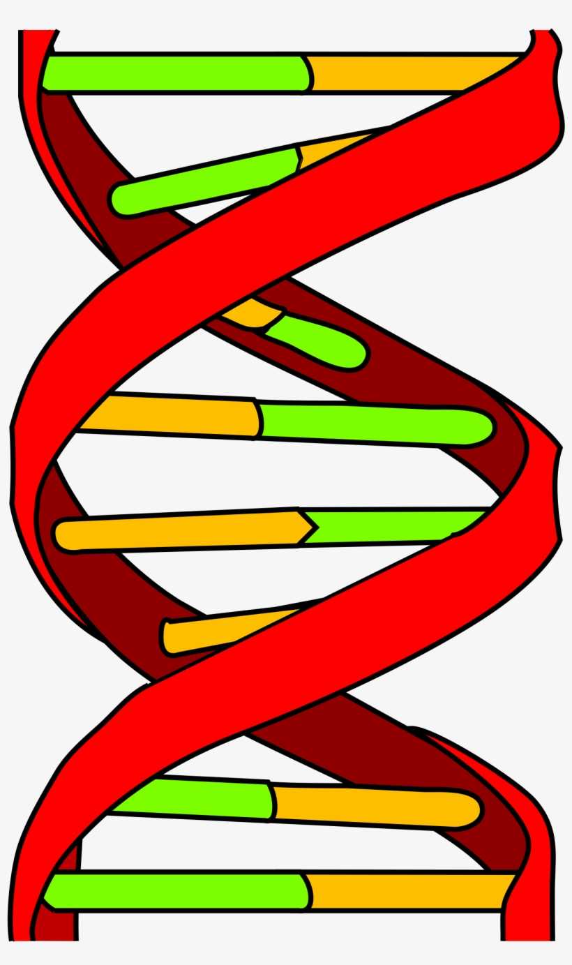 Open - Dna Icon, transparent png download