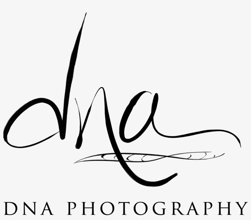 Dna Strand White Transparent - Dna Photography Logo, transparent png download