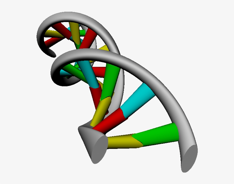 Dna Strand Png - Autodesk Maya, transparent png download
