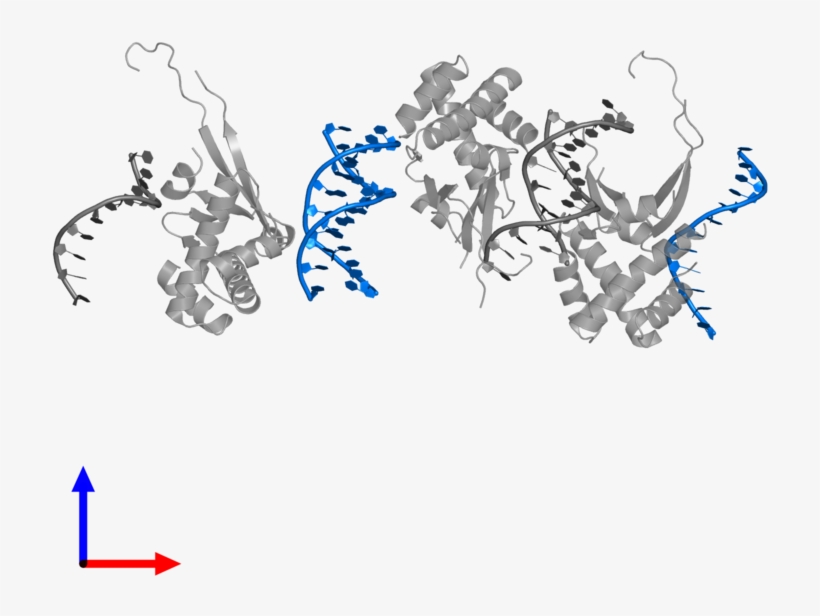 <div Class='caption-body'>pdb Entry 4yfh Contains 2 - Illustration, transparent png download