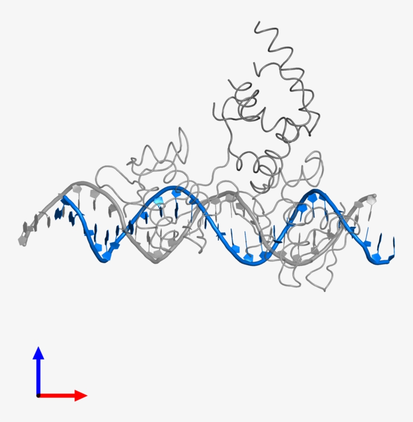 <div Class='caption-body'>pdb Entry 3t72 Contains 1 - Illustration, transparent png download