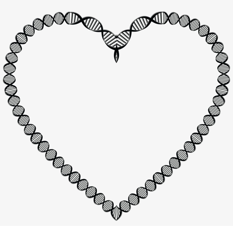 Free Clipart Of A Dna Double Helix Strand Heart Frame - Double Helix Heart Dna, transparent png download