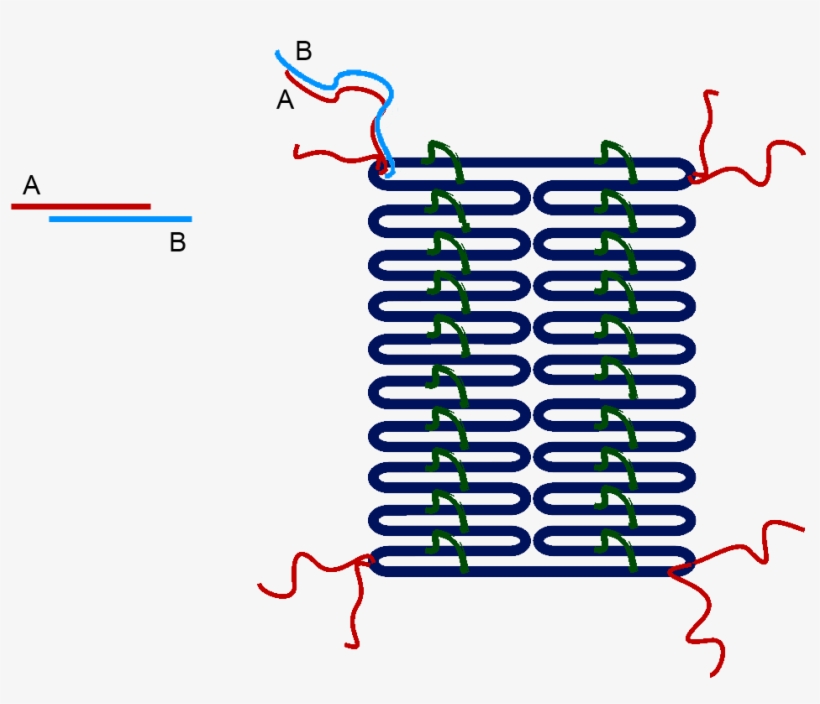 Dna Nanostructures For Optical And Electrical Applications - Dna, transparent png download