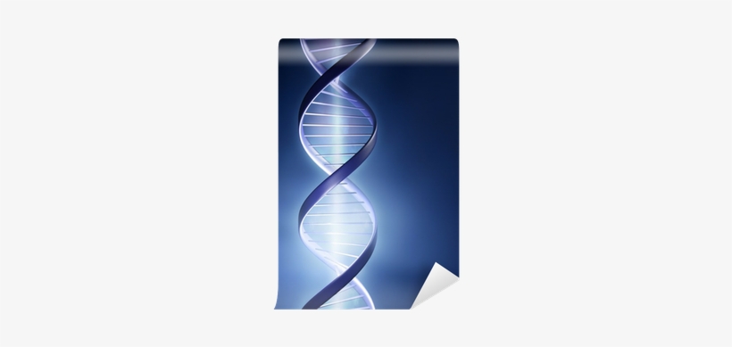 Point Of Light: Communicate With Your Dna, Change Your, transparent png download
