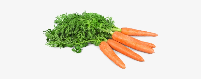 Carrots - Diet, transparent png download