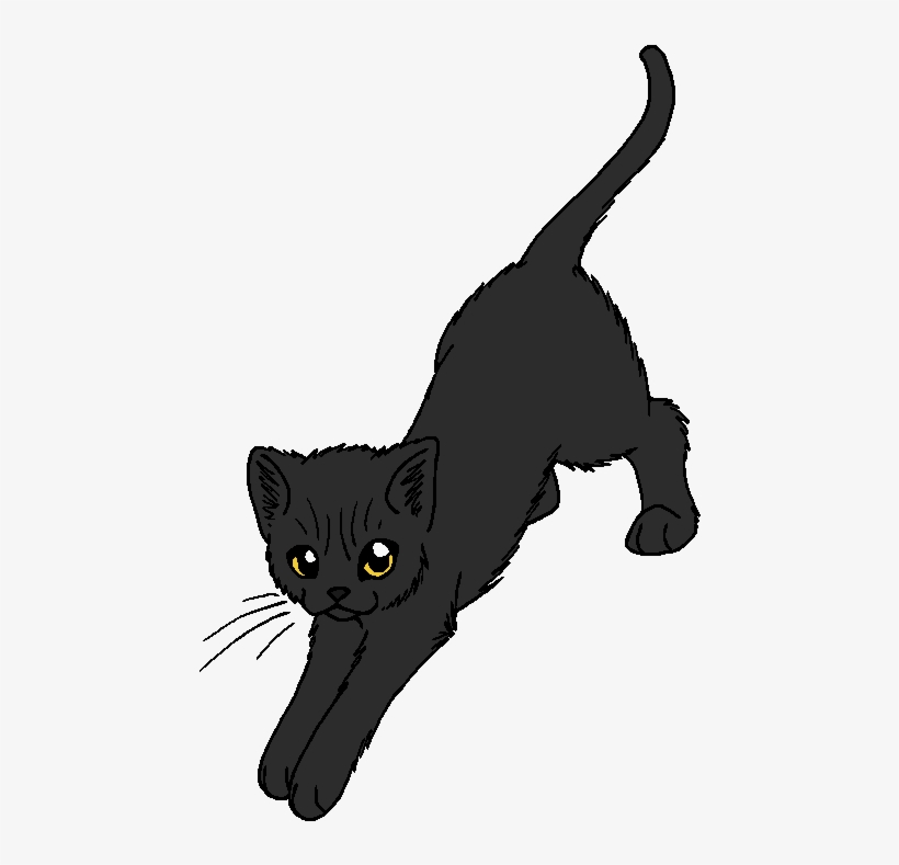 Dark Whiskers - Owl Eyes Warrior Cats, transparent png download