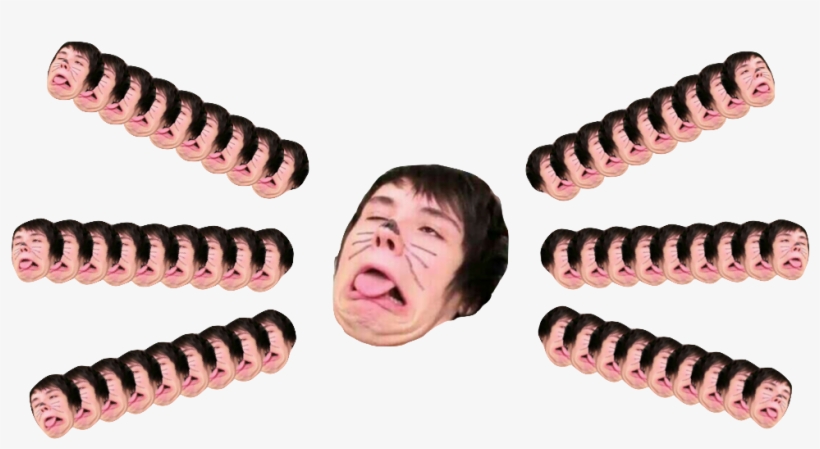 The Cat Whiskers Come From Within - - Dan And Phil Cat Whisker, transparent png download