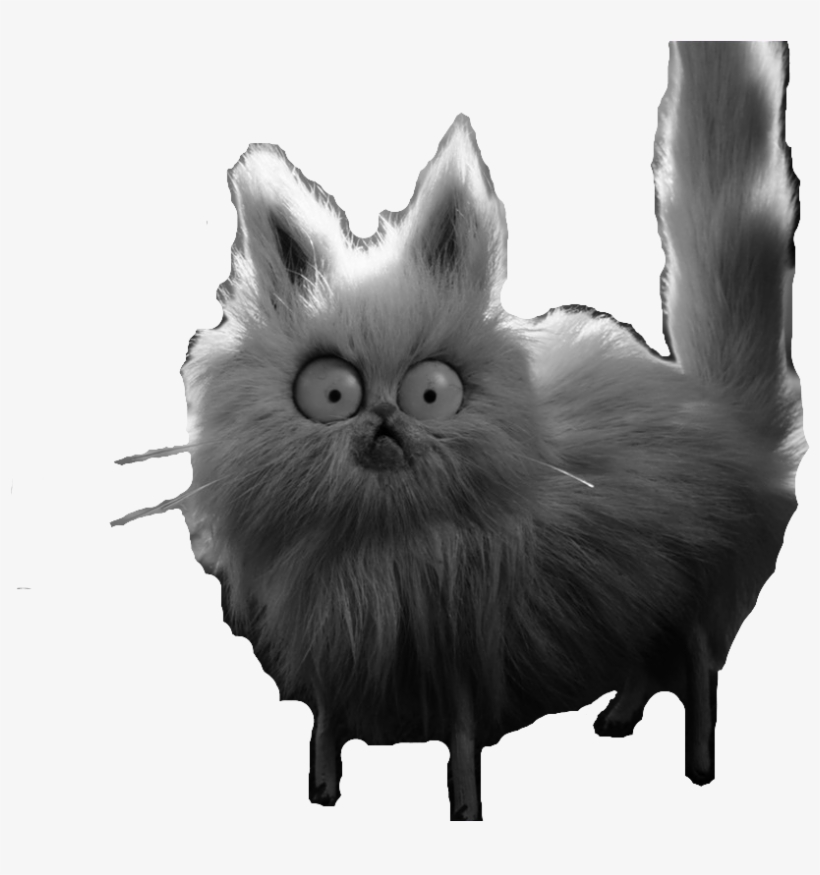Whiskers - Pomeranian, transparent png download