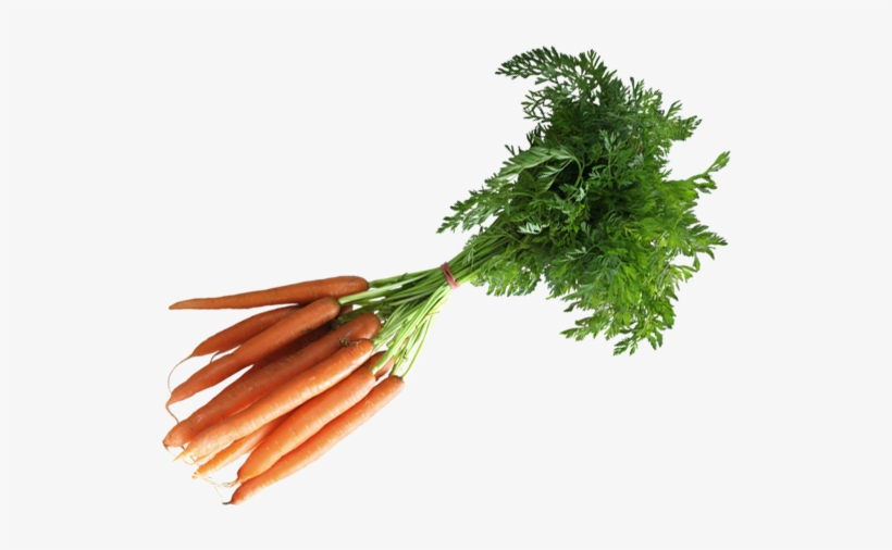 Carrots - Health, transparent png download