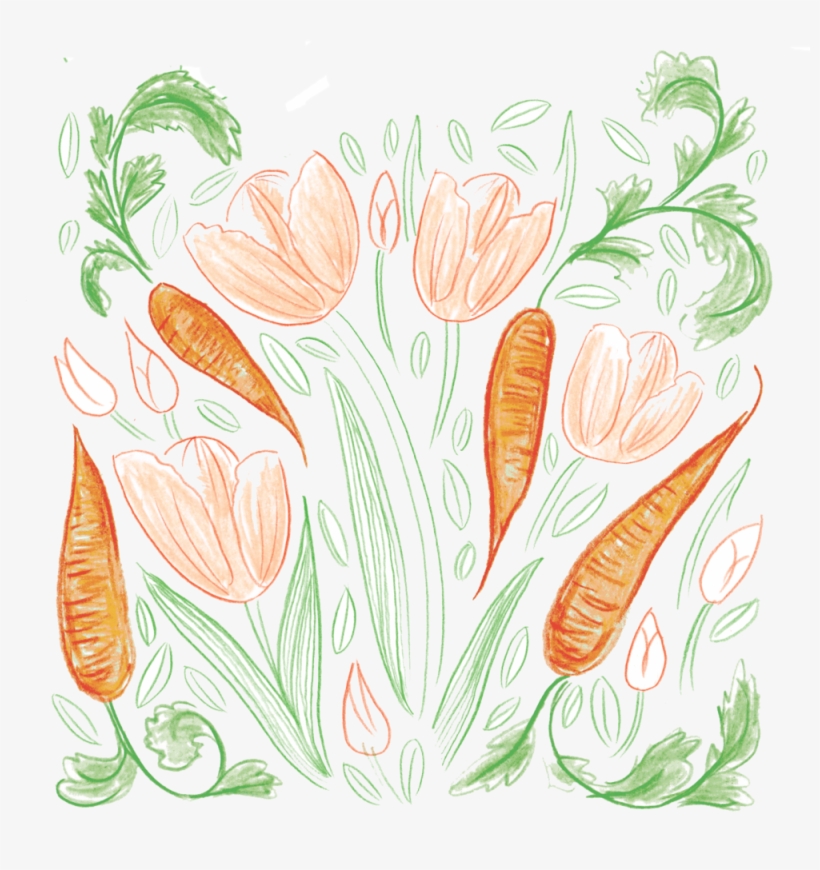 Carrots - Carrot, transparent png download