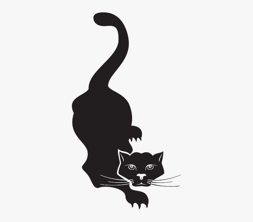 Cat, Black, Halloween, Tail, Whiskers, Pounce, Prowling - Brush Photoshop Free Cat, transparent png download