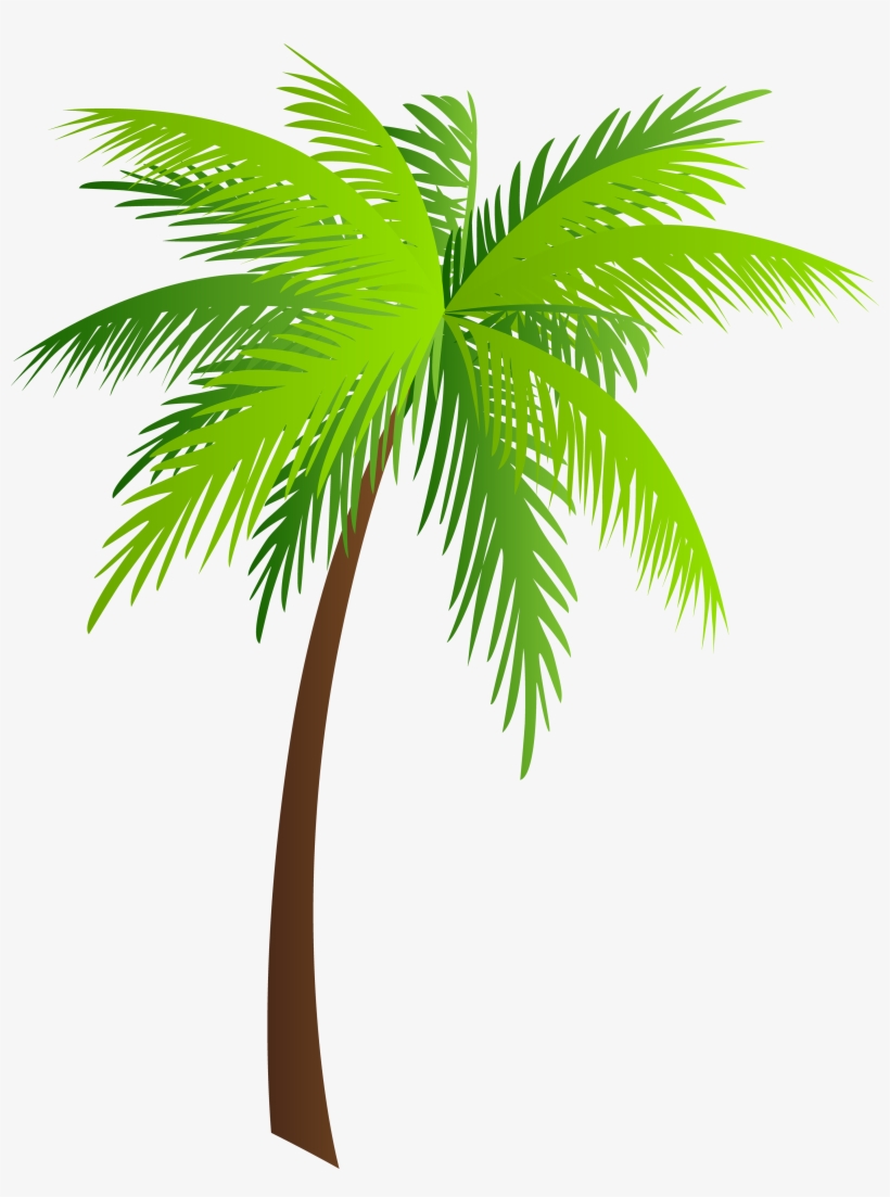 Palm Clip Art, transparent png download