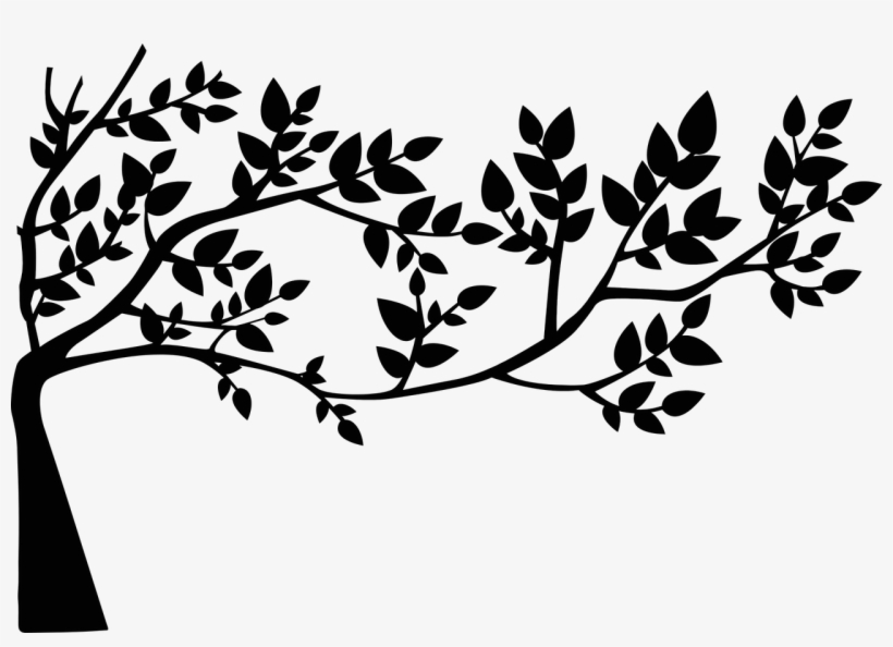 Ecological Leaf Leaves Nature Transparent Image - Tree With Leaves Silhouette, transparent png download