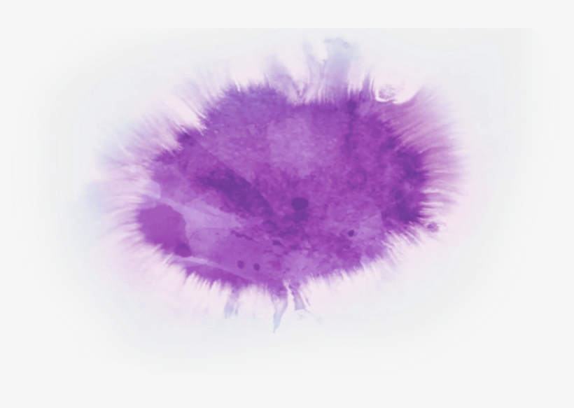 Dandelion, transparent png download