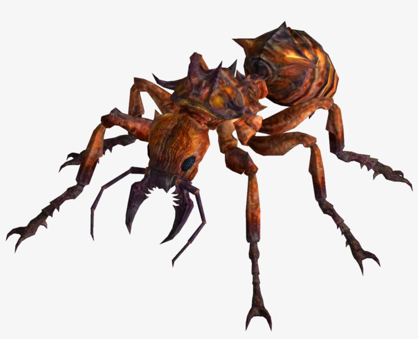 Ant Venoms - Fire Ants, transparent png download
