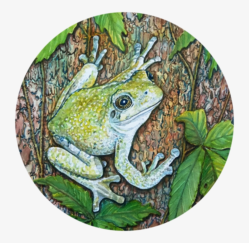 #ozarkfineartists State Of The Ozarks Showcase, transparent png download