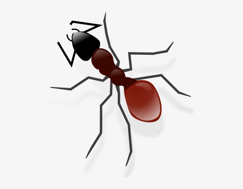 Ant Png Transparent Image - Desenhos De Insetos De Jardim, transparent png download
