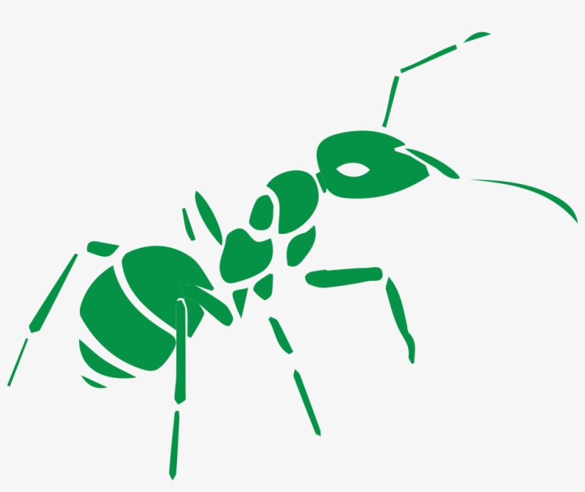 Ant, transparent png download