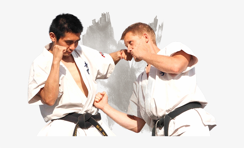 Goju-ryu For Adults - Karate Fight Png, transparent png download
