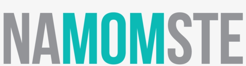 Namomste-logo - Net Ministries Logo Transparent, transparent png download