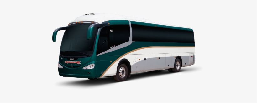 Tour Bus Service, transparent png download