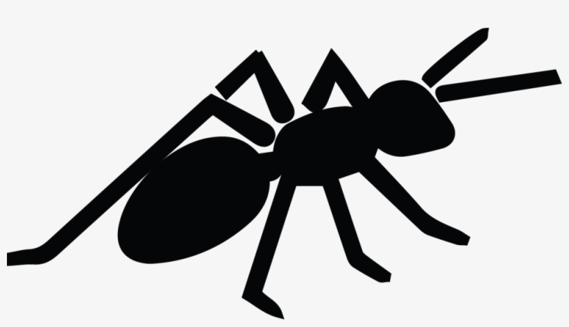 Site Blog Gamergate - Leptomyrmex, transparent png download