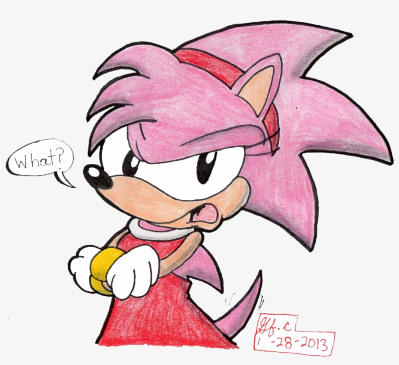 Rose Commenta Photo - Amy The Pink Hedgehog, transparent png download