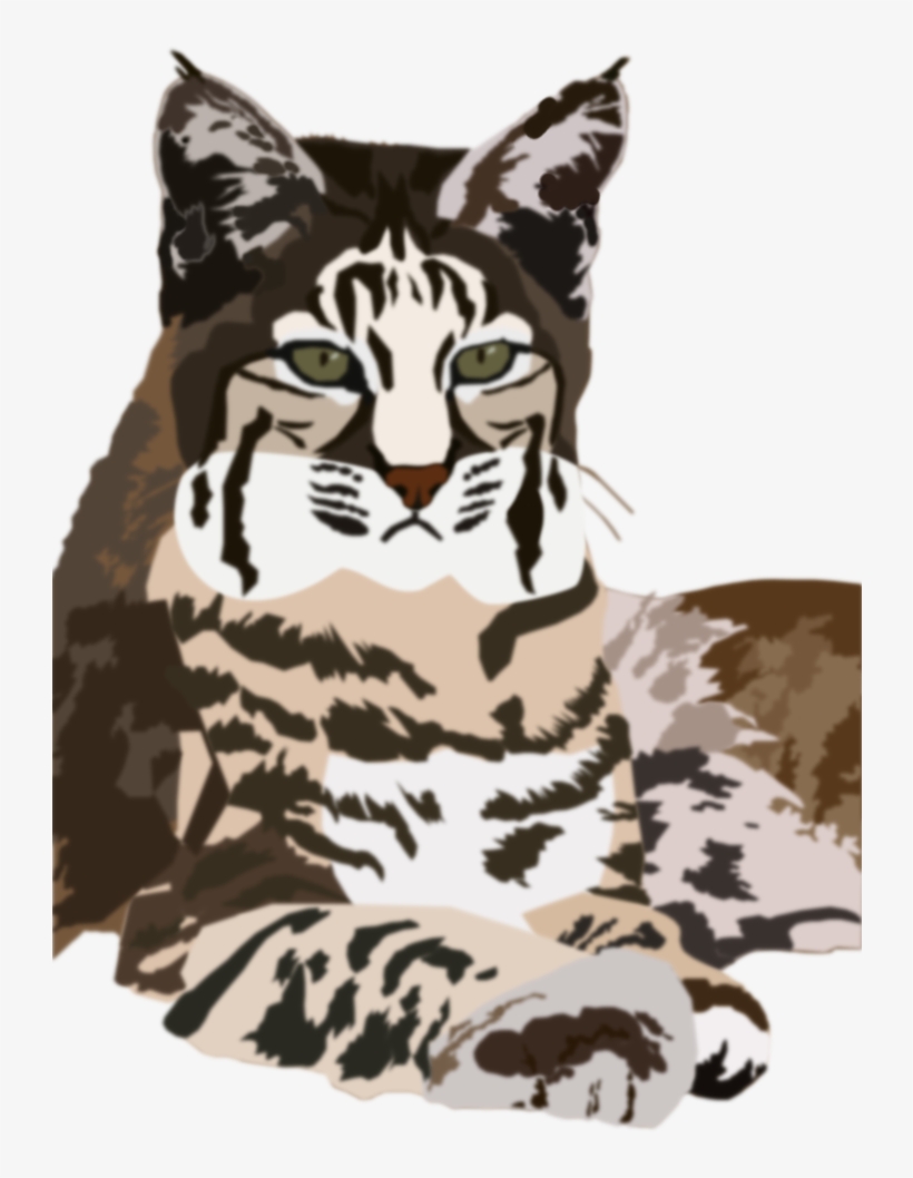 Watercolor Texture Background Iberian Lynx Vector Transparent Png 727x1100 Free Download On Nicepng