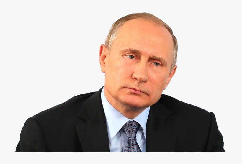Vladimir Putin News - Jack Williams Wbz, transparent png download
