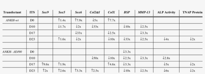 Significant Changes In Markers Expressed In Various - Escala De Eva Pdf, transparent png download